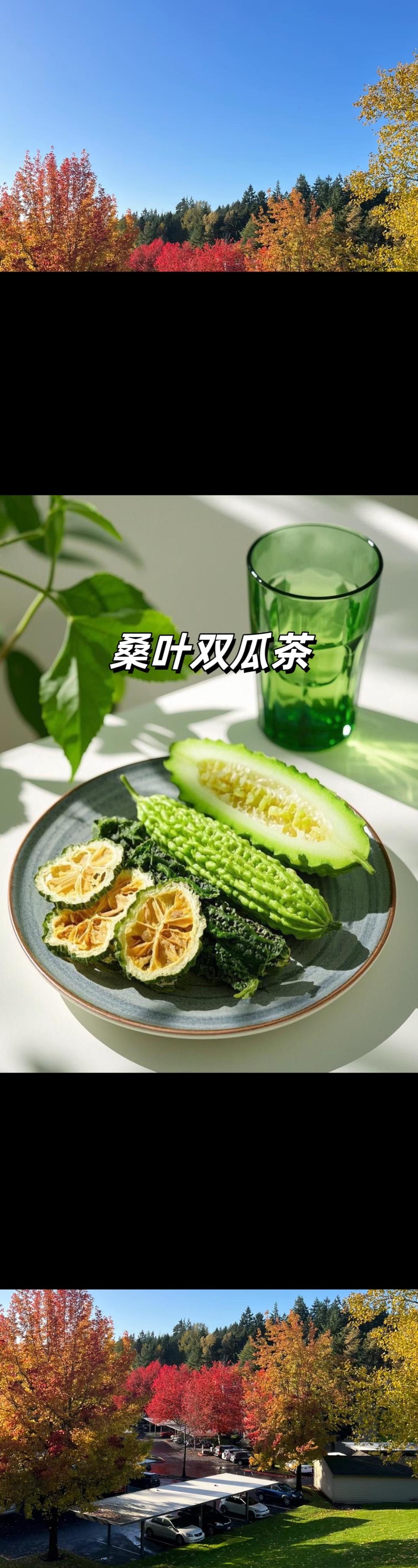 桑叶双瓜茶 桑叶茶好处多多 养生茶 喝桑叶水对人体的好处 养生