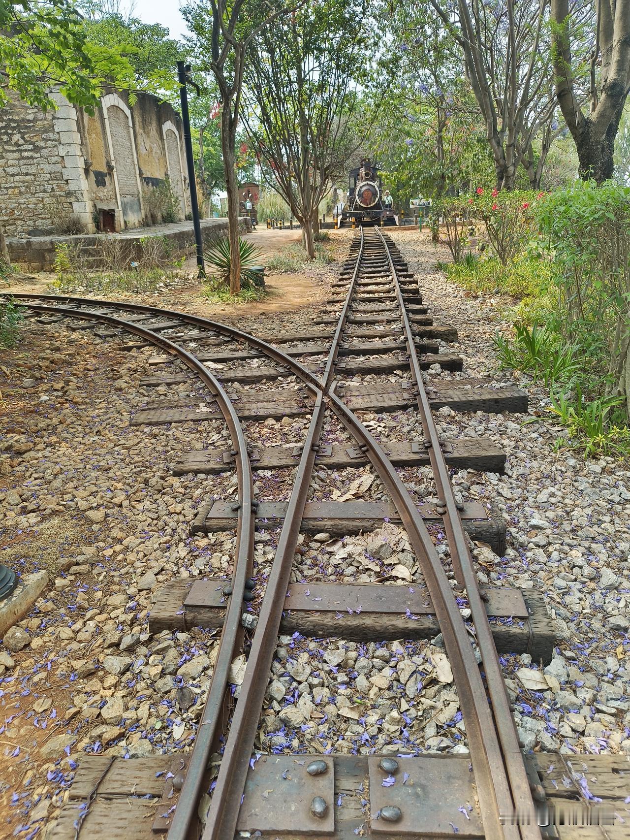 眼花缭乱的数组584，惊人的开机试机码。我也看个险招345、456、678、33