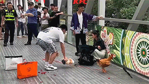 这求爱现场，我有点看不懂！花都踢掉了！舞不能不跳完！