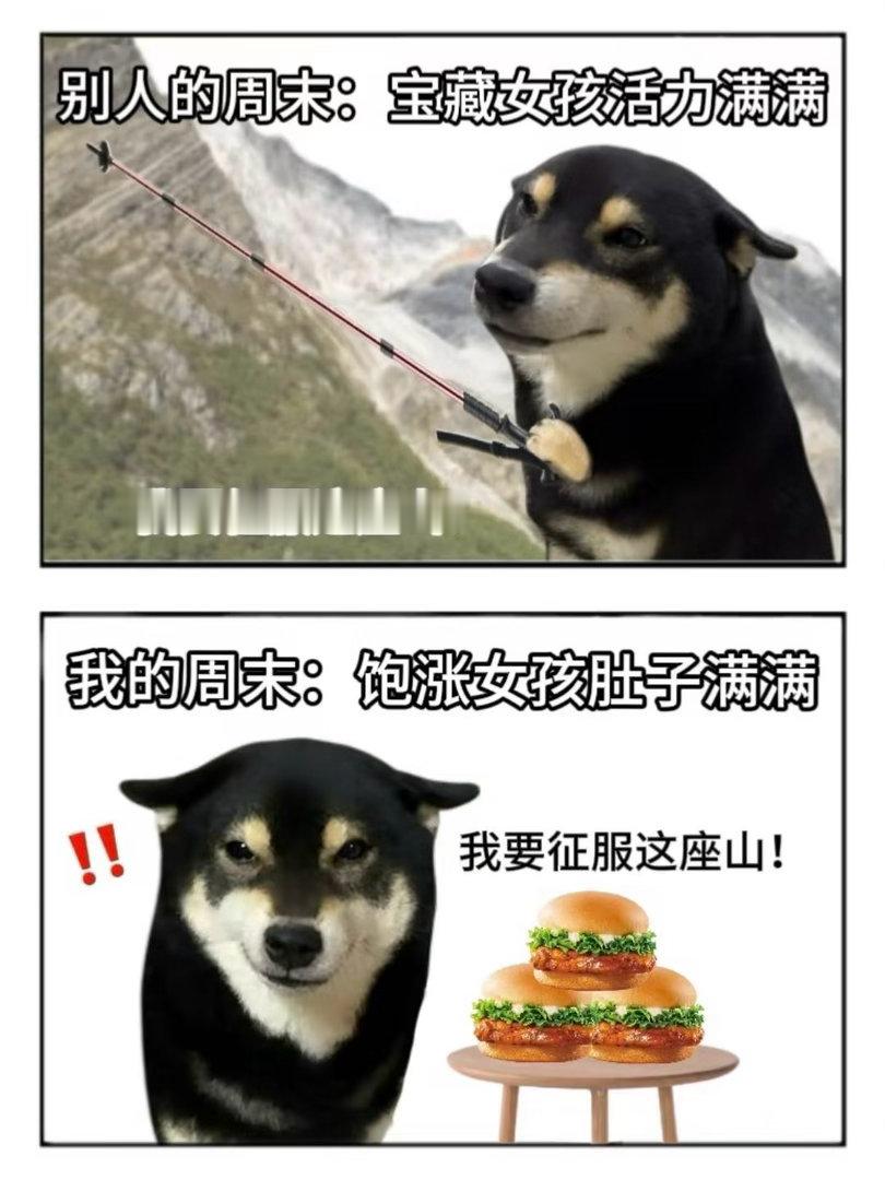 周末计划vs实际周末 原本打算约朋友出门聚会，奈何惰性战胜一切，索性宅家独处，各