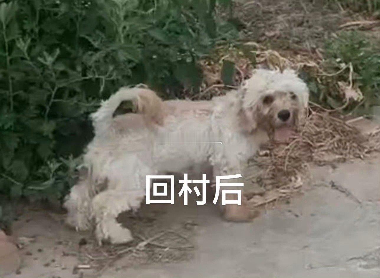 曾经的我你爱答不理，现在的我你高攀不起[doge][酷] ​​​