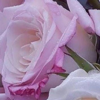 浮生不在，茶语清香，注一湾水，取一瓢茶，入壶出汤浓稠甜蜜。观而赏其妙，闻而悦其香