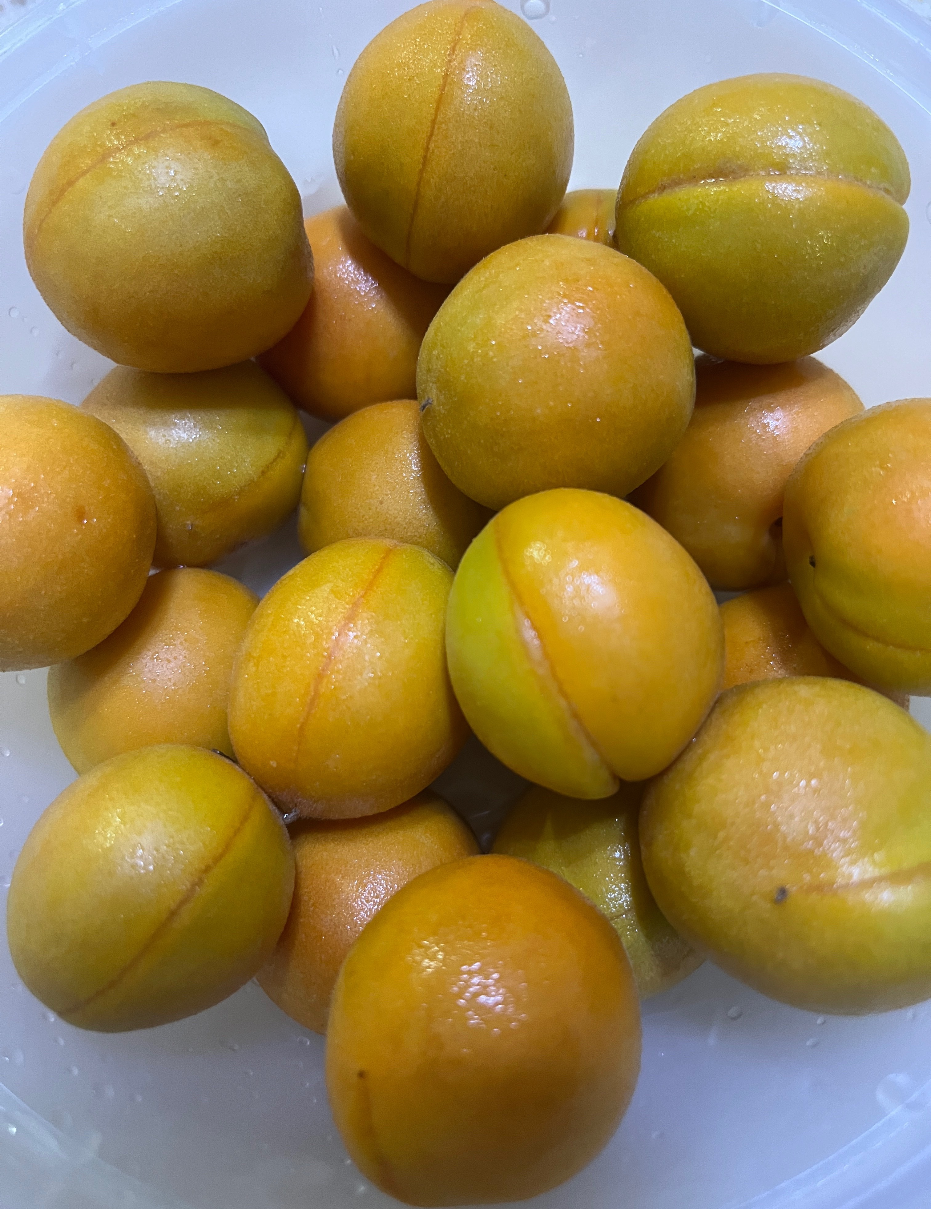吃来吃去还是新疆的好吃😋 