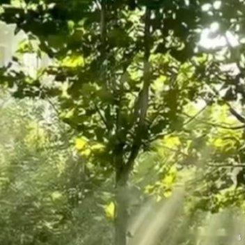 森林驿站[超话]经历过风雨,心会变得更坚韧,擦肩而过的人,挥一挥手说声,再见。相