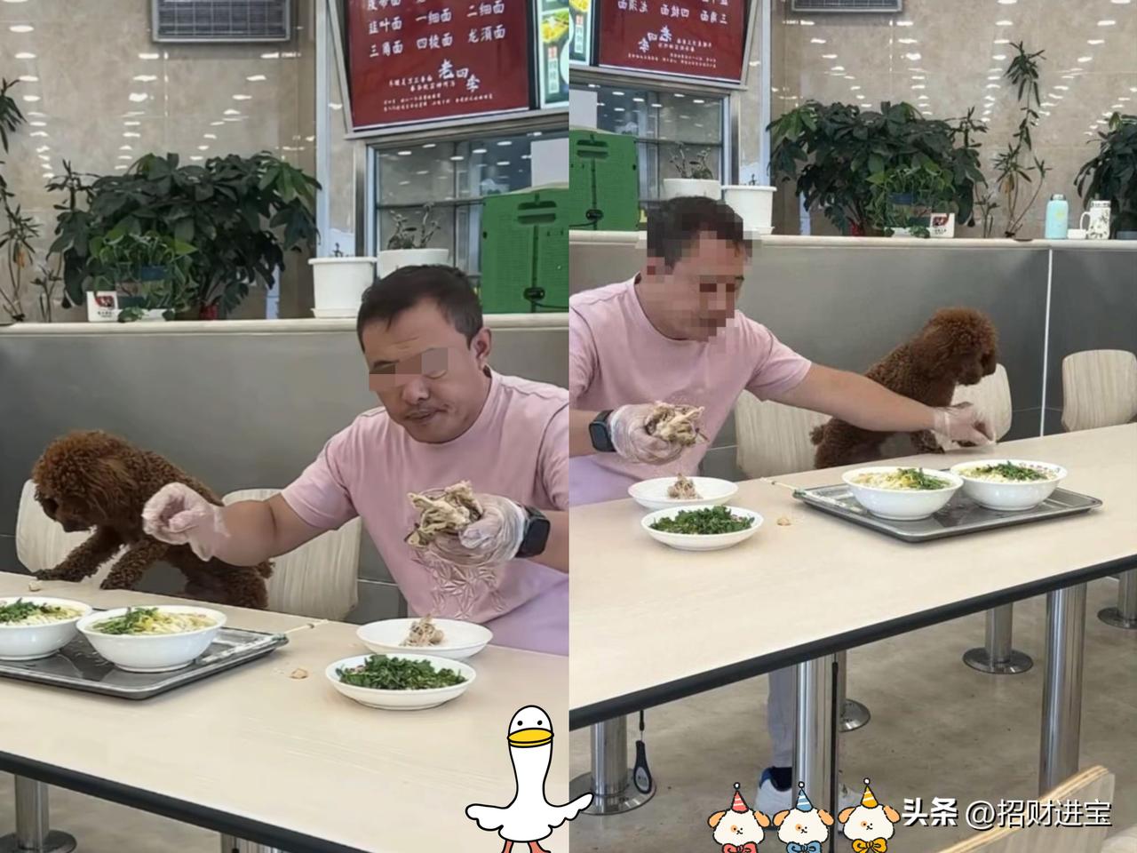 沈阳老四季面馆的老板，窝窝囊囊地得罪了全国人。
真是又怂又勇，说他胆子大吧，他不