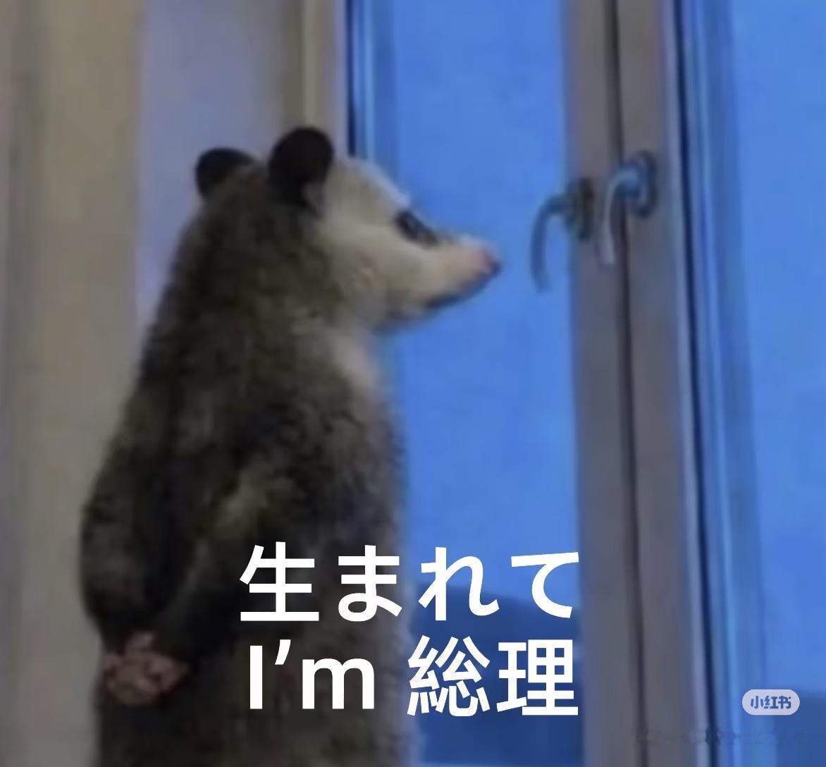 哈哈哈哈哈 