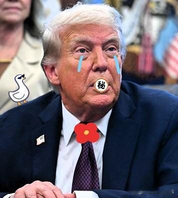 快讯速递！
         特朗普突发声明！
 
           刚过去