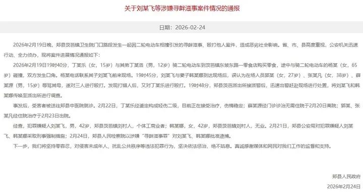 河南平顶山“15岁女孩被当街暴打”案犯罪嫌疑人被批捕