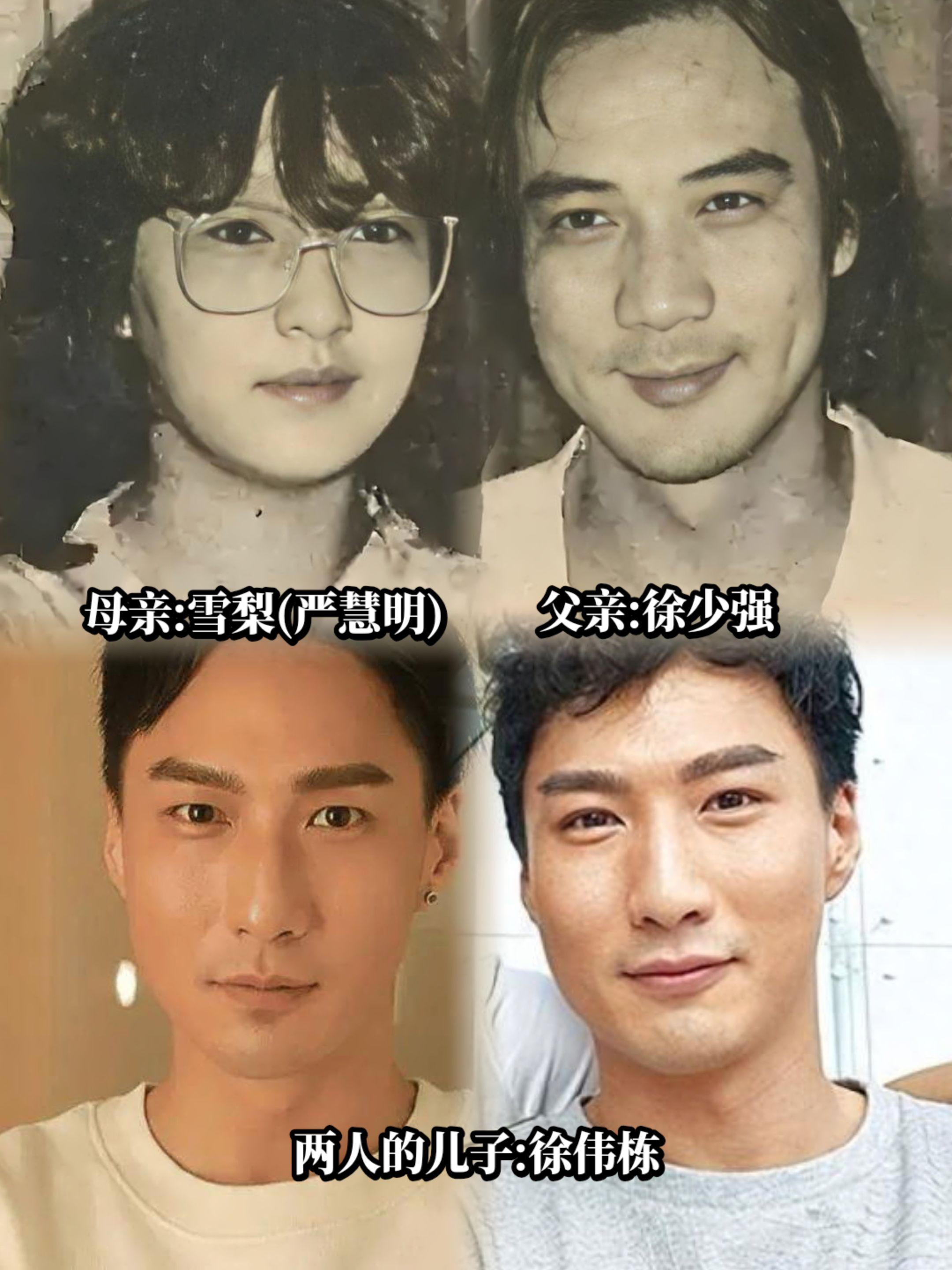 雪梨儿子长的太像他生父徐少强了。
