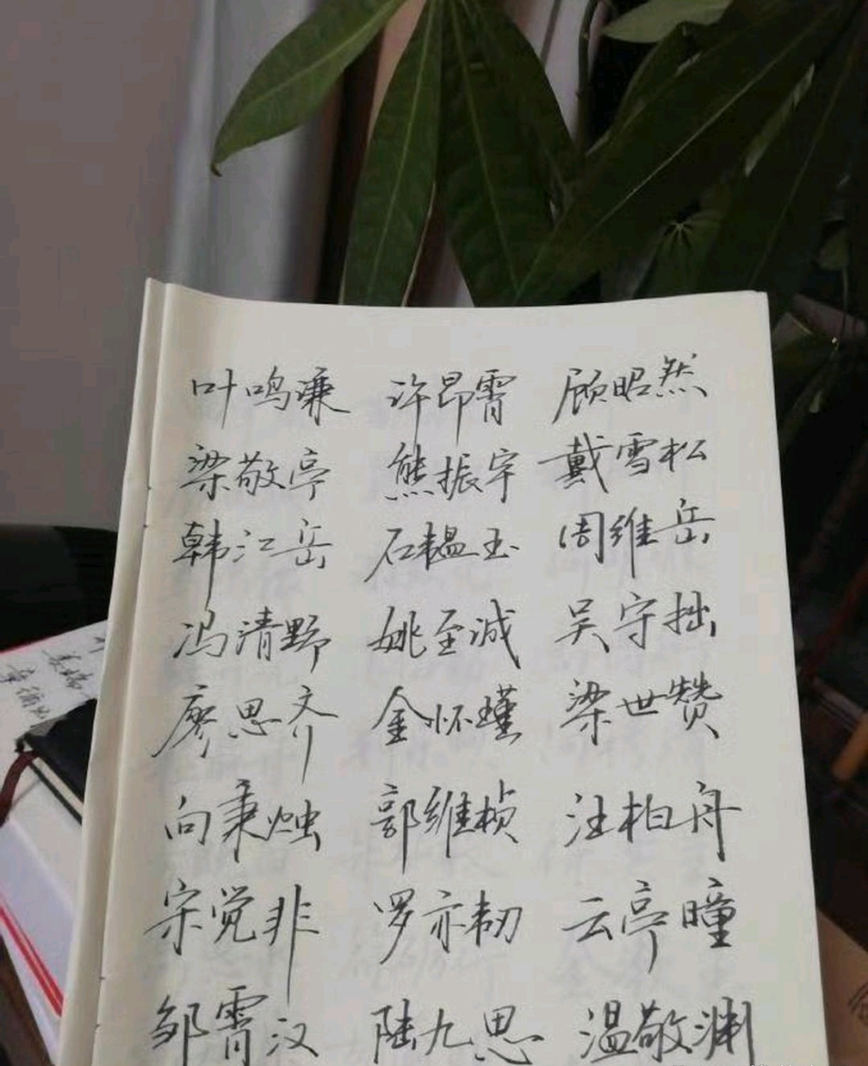 爷爷取的名字堪比古代进士 你们觉得取的怎么样？ 
