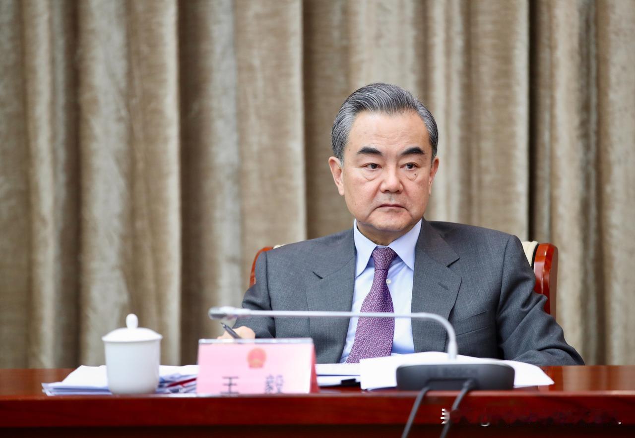 欧洲议会外事委员会第一次单独组团来北京，跨党派、齐整整，左中右全来了。很多人以为
