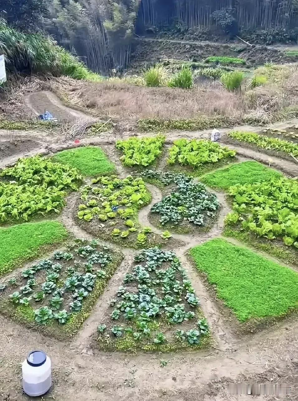 你猜菜地主人什么出身？