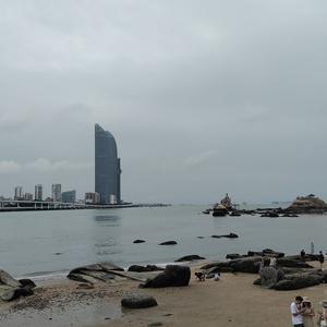 赤子之心向大海