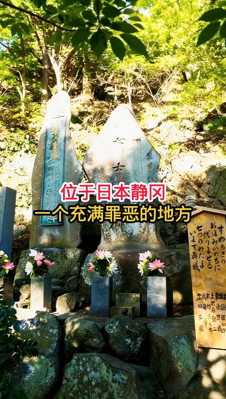 位于日本静冈，一个充满罪恶的地方。