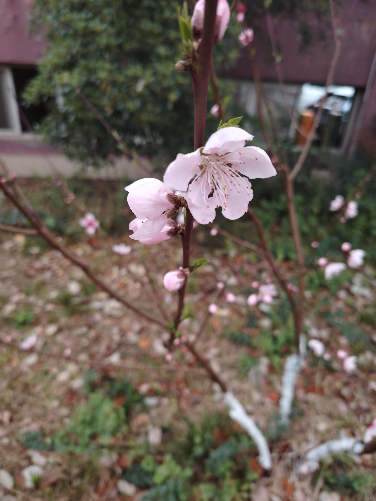 有时候，我们总想去改变一个人，为此不遗余力！可是这不仅吃力不讨好，而且还伤了自己