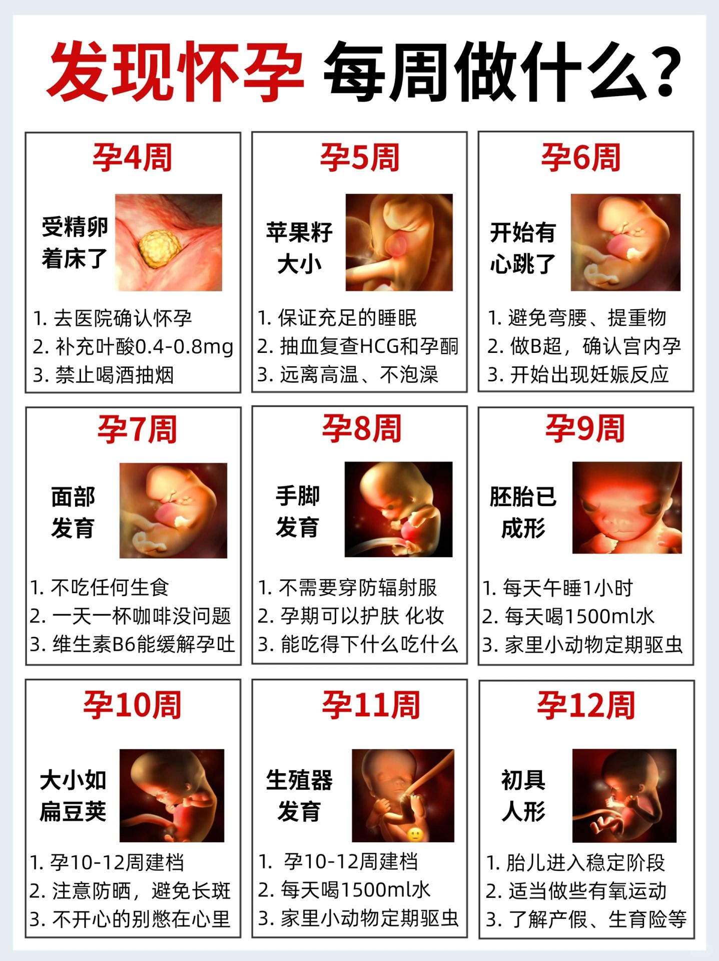 从备孕到生娃‼️一篇了解活性叶酸的重要性❗️