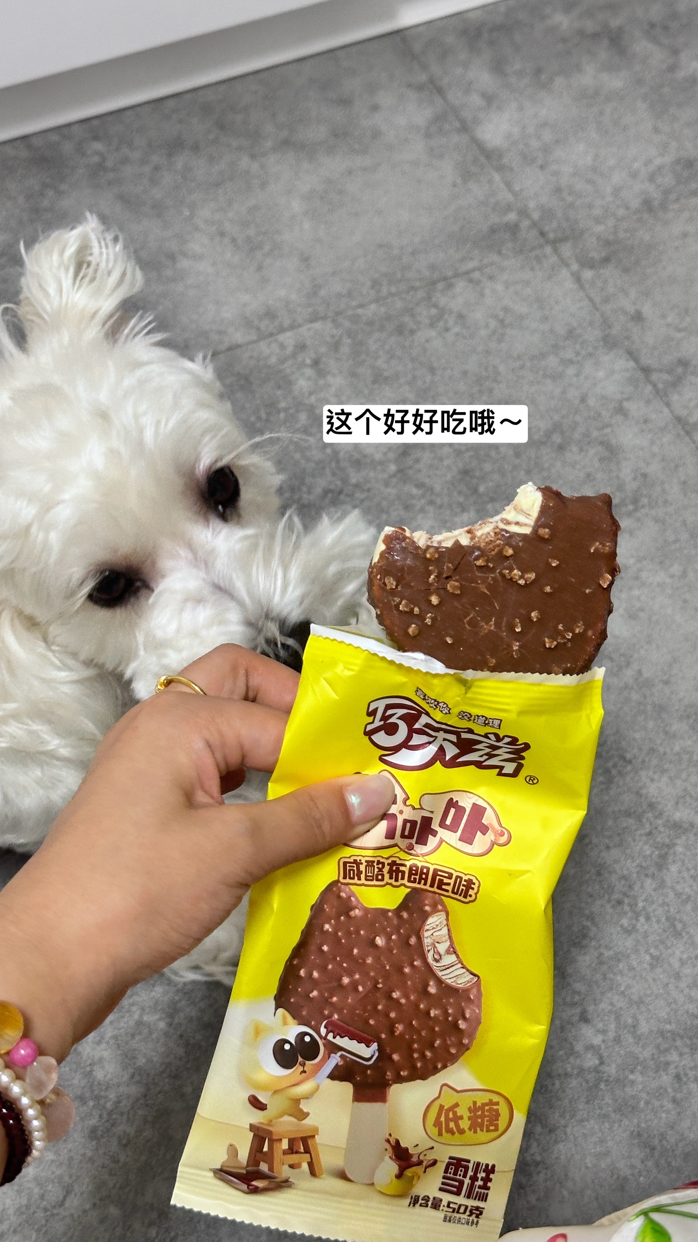 今天去别的校区开会啦～本来应该是休假的日子[泪][泪][泪]孩子今天也肿肿的 好