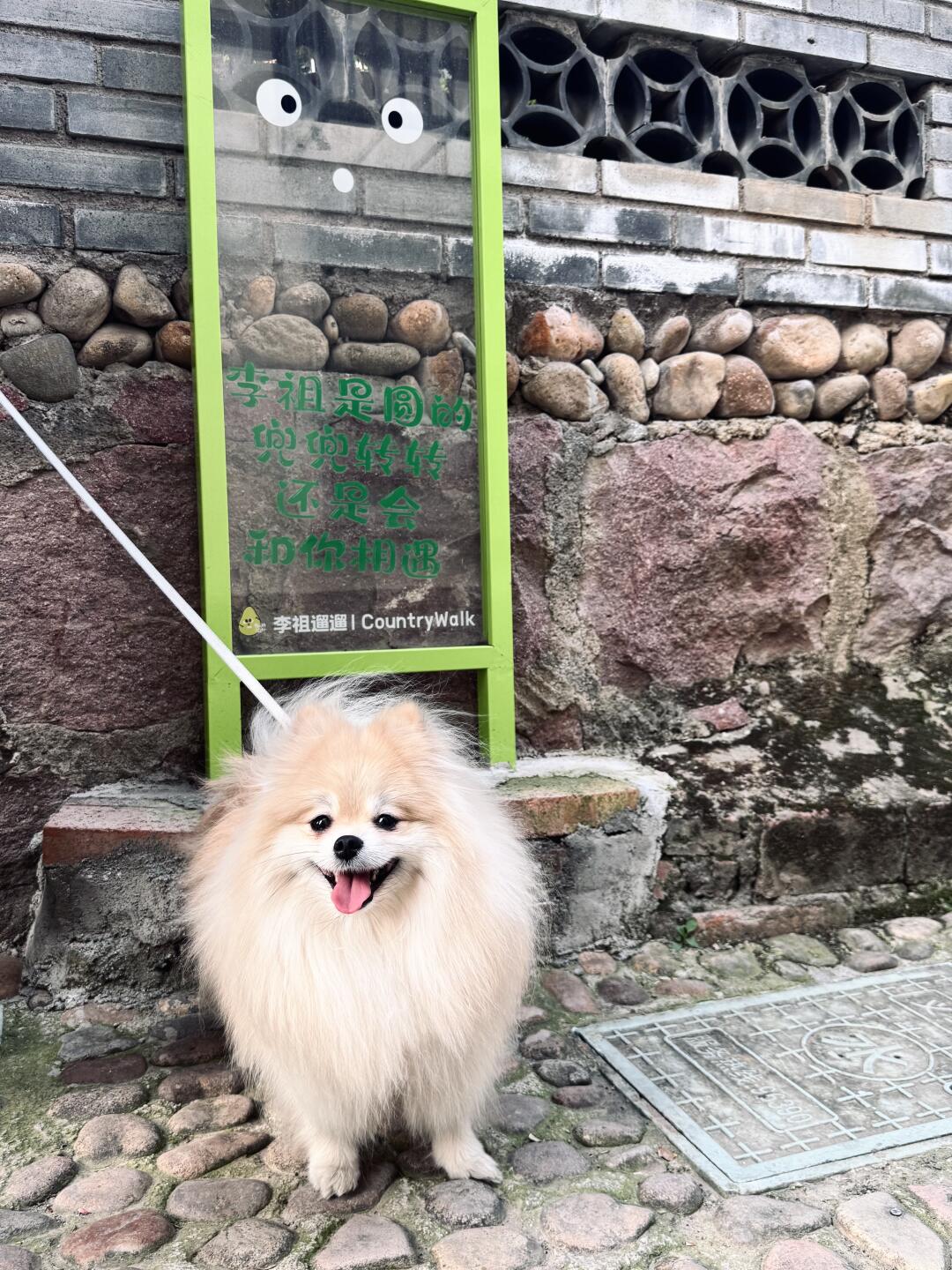 小狗旅行打卡✌🏻