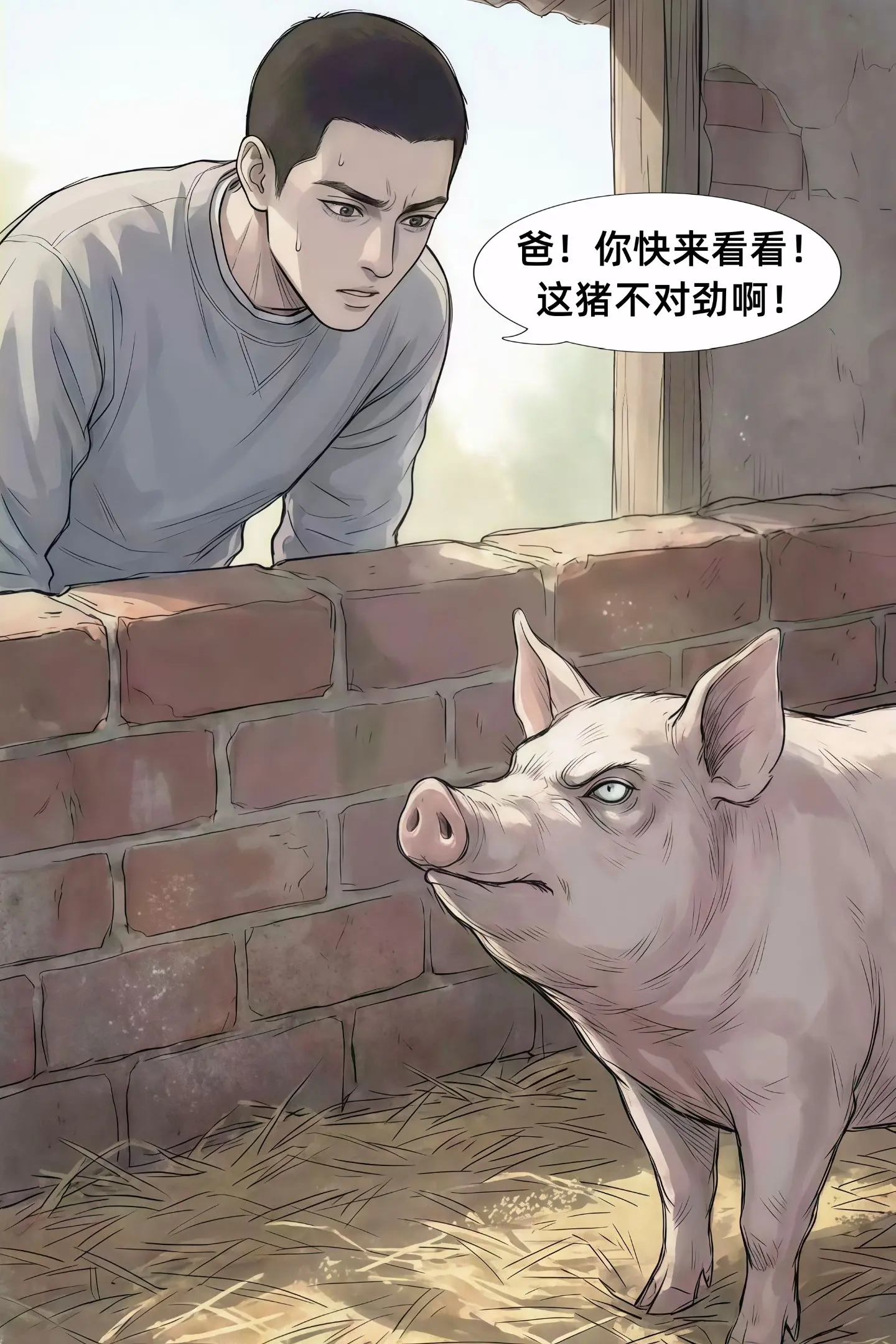 为什么要远离抬头看人的猪?