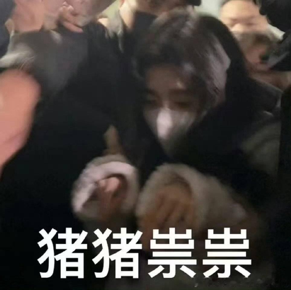 恭喜猪塑登顶！要猪就猪第一！！抽人mys橘暮亚克力制品（+神秘礼物） 鞠婧祎周边