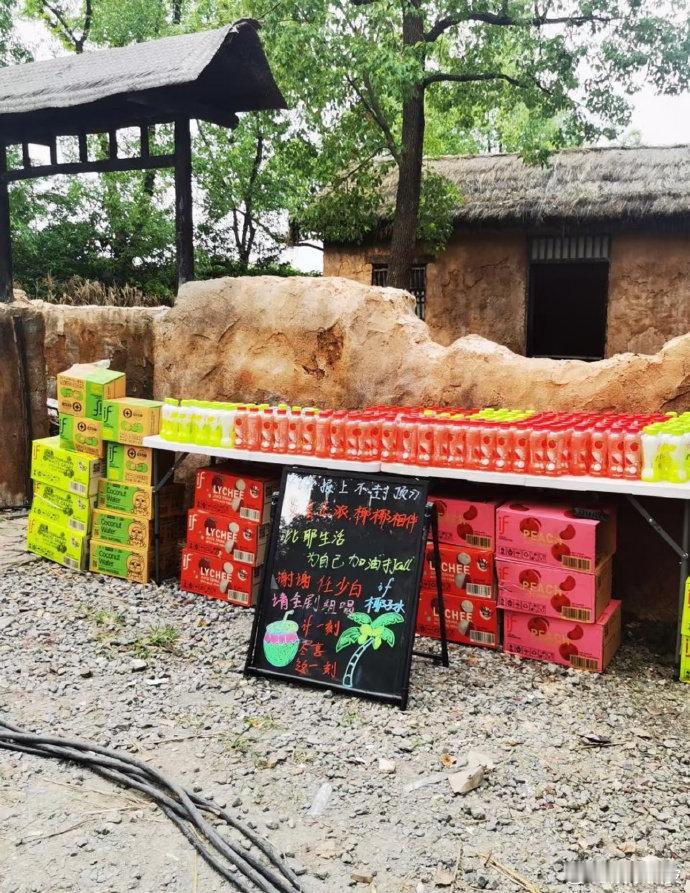肖战请谍报上不封顶剧组喝if椰子水肖战又请客喝if椰子水了肖战请《谍报上不封顶》