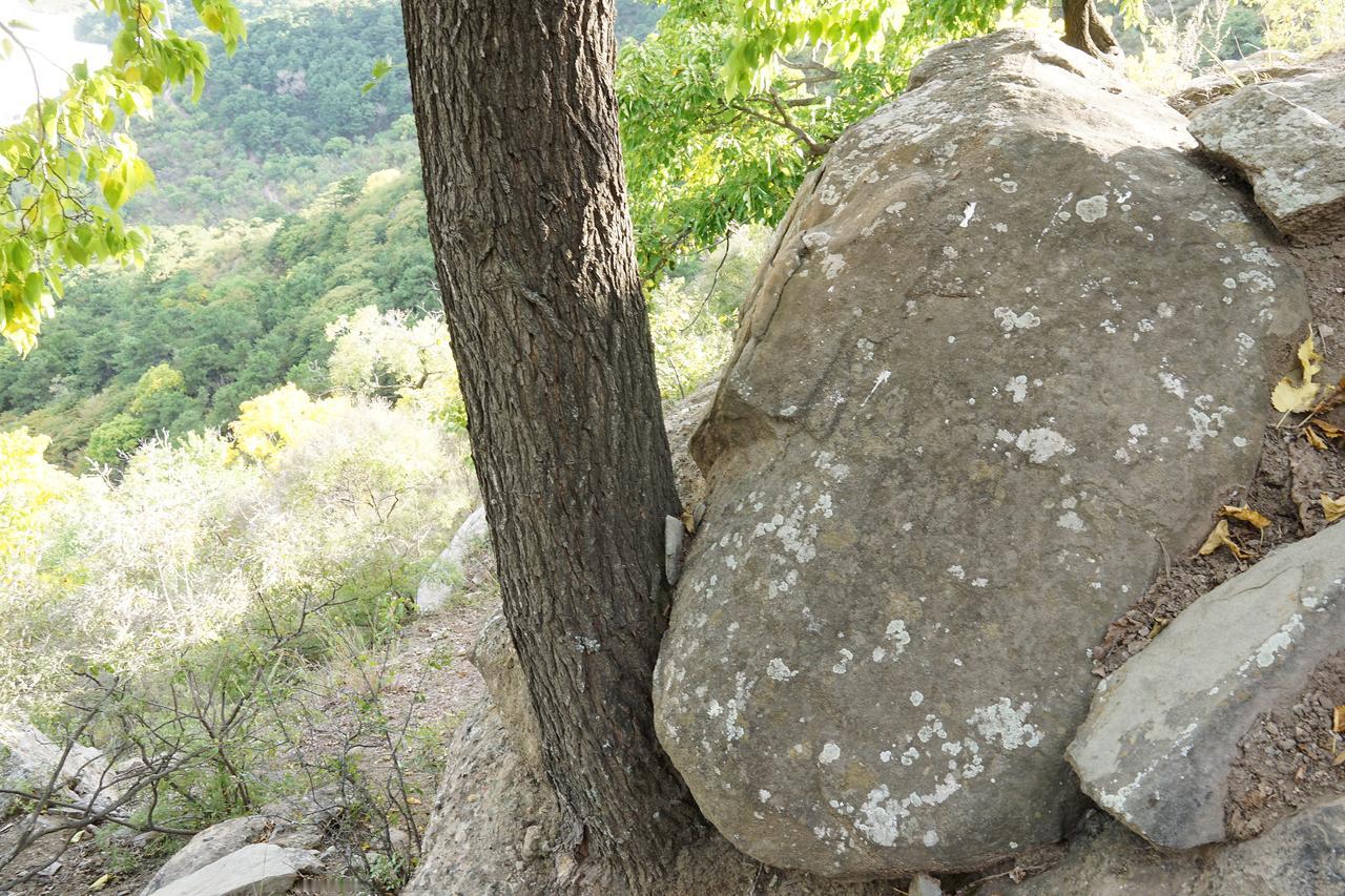 为什么当时让人献血时欺骗说，献血者及亲属可以无偿使用呢？