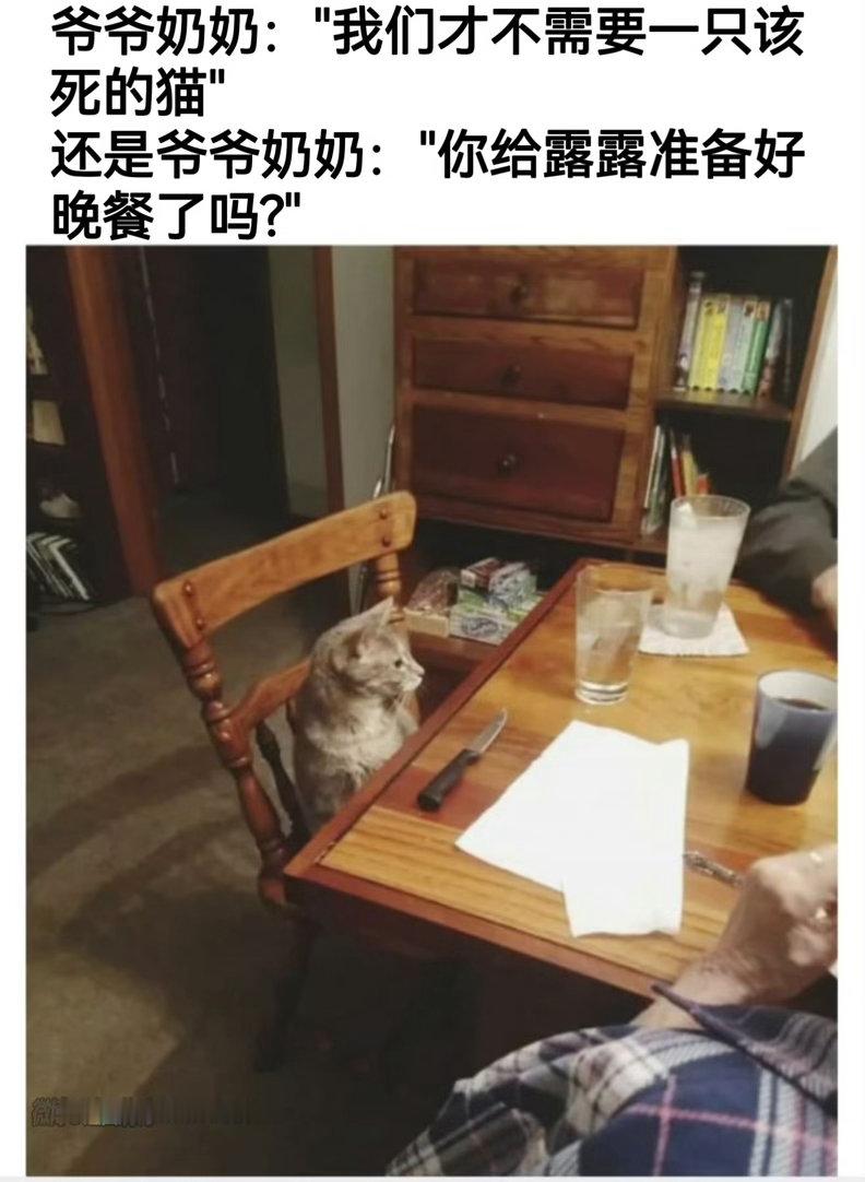 露露等着呢 ​​​