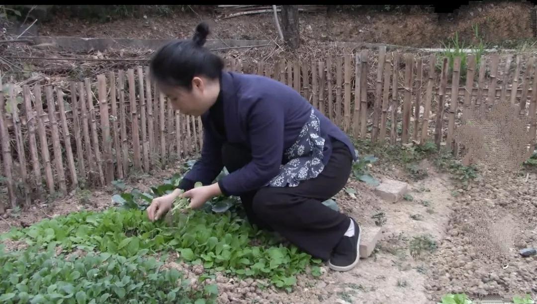 看到这样一段话：只要你不跟任何人打交道，你会发现，日子过得相当快乐，有口饭吃，有