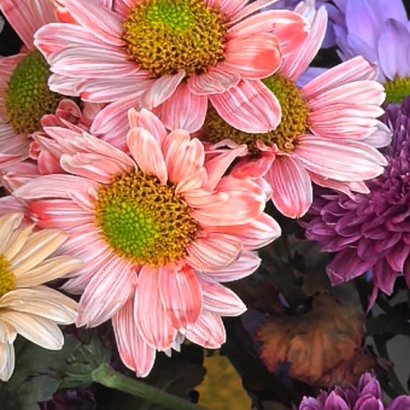 1600生活的天空不可能永远清澈透明，有风雨也是常事。但只要向阳而生，保持内心的