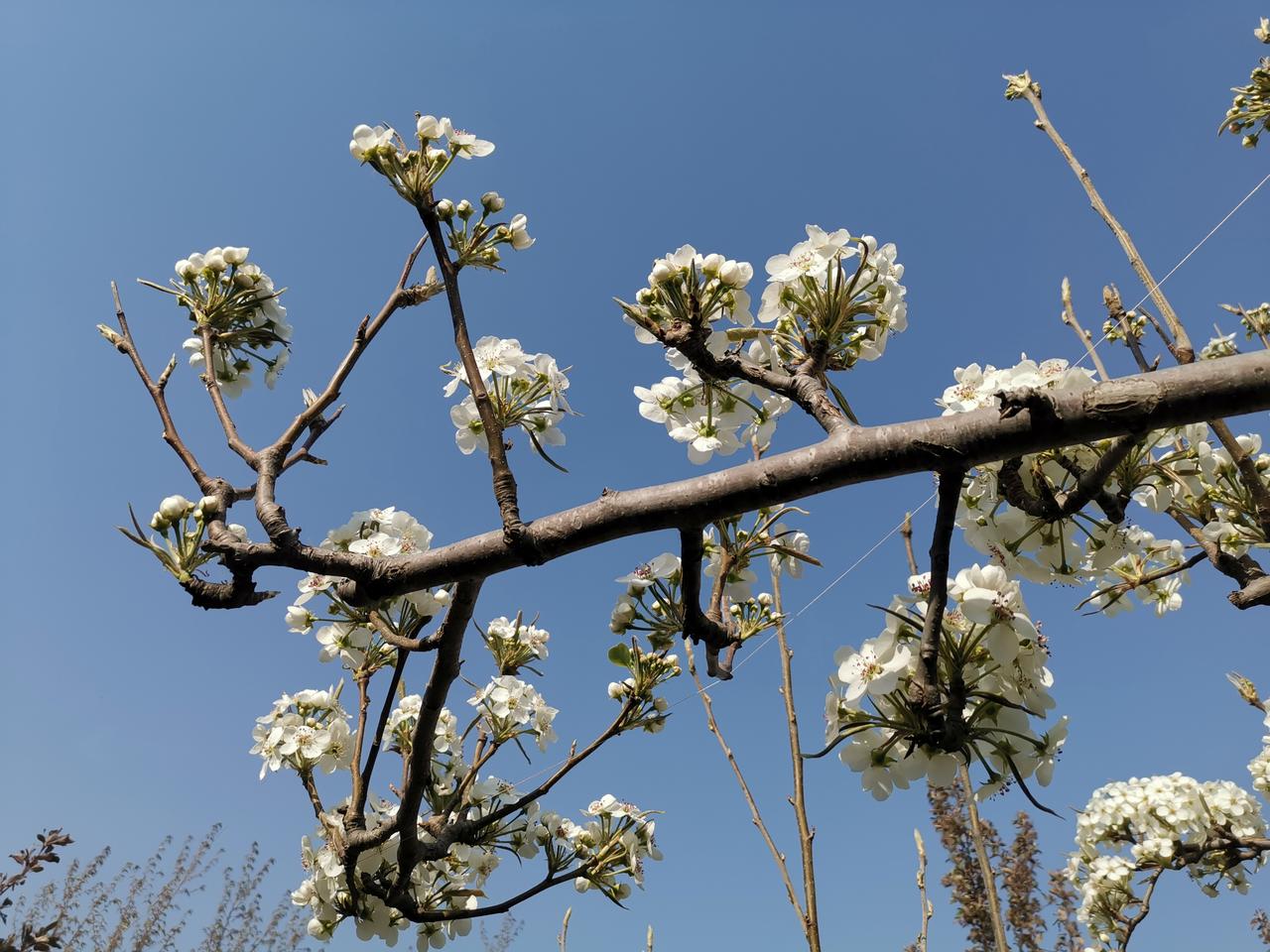 【话语看似无形，却传递着我们的态度、格局与智慧，也拥有着影响现实的力量】
   