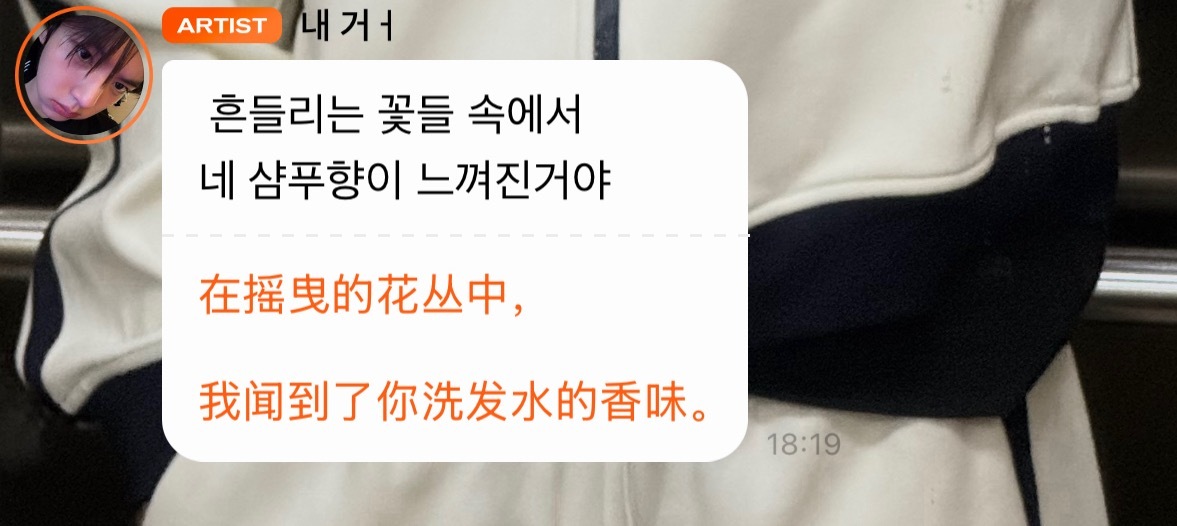 歌词也太应景了吧🩶 