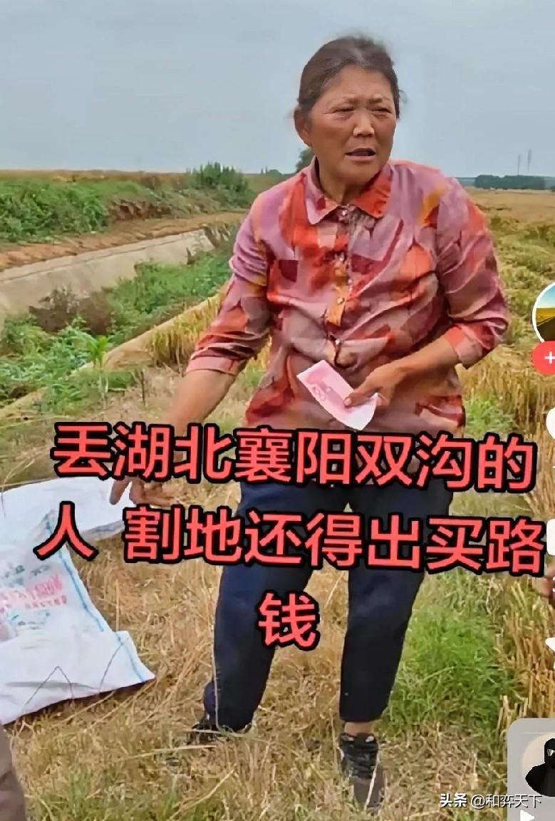 前有提灯定损，今有割四赔五，这是今年我今年看到的最大的笑话，是心酸的笑！
河南夫