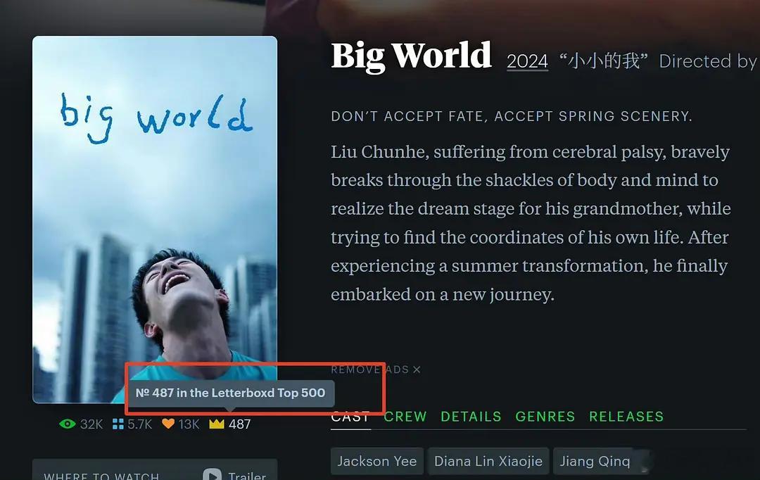易烊千玺《小小的我》进了letterboxd top500，最近七年唯一华语片，