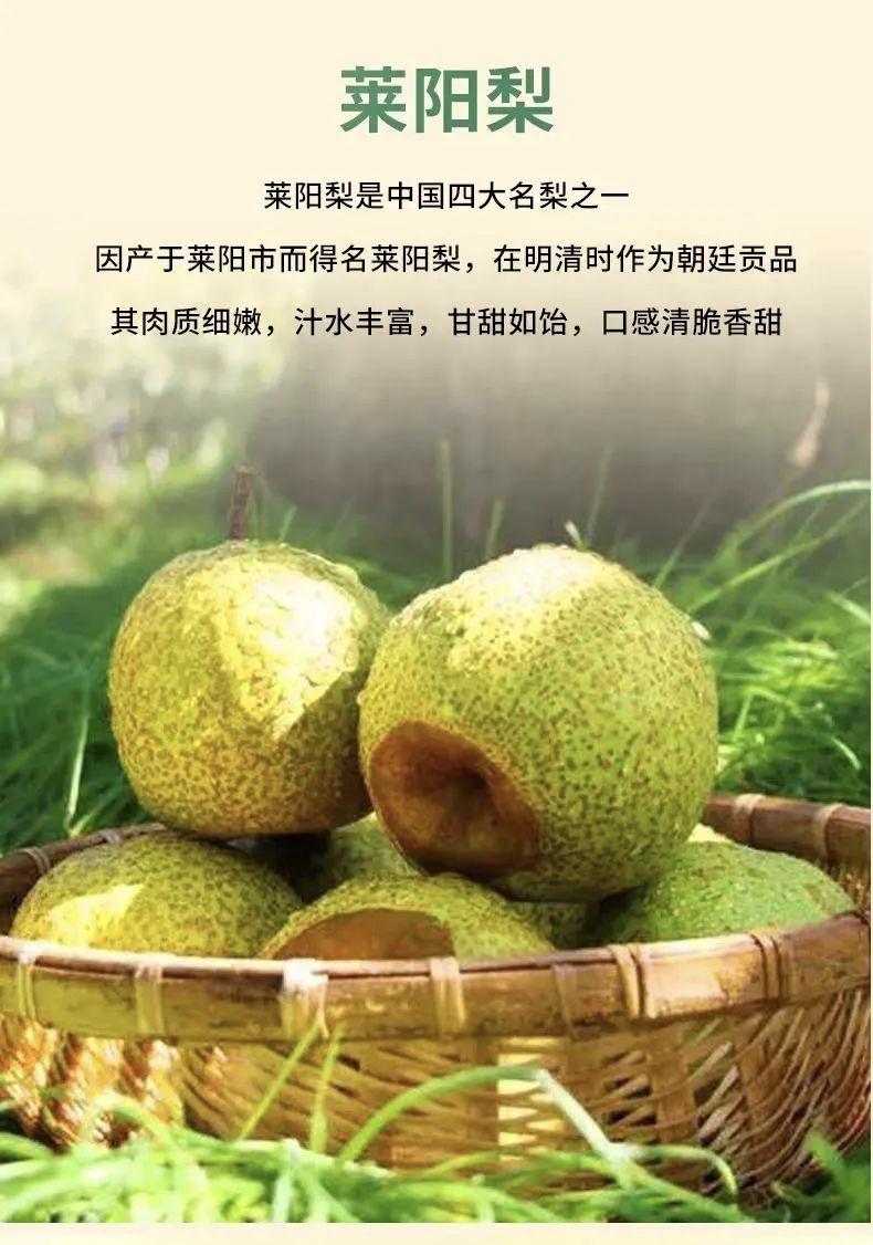我丈母娘今年88了，没有上过学。虽然不识字，但是却明事理。
比如说，吃梨子。莱阳