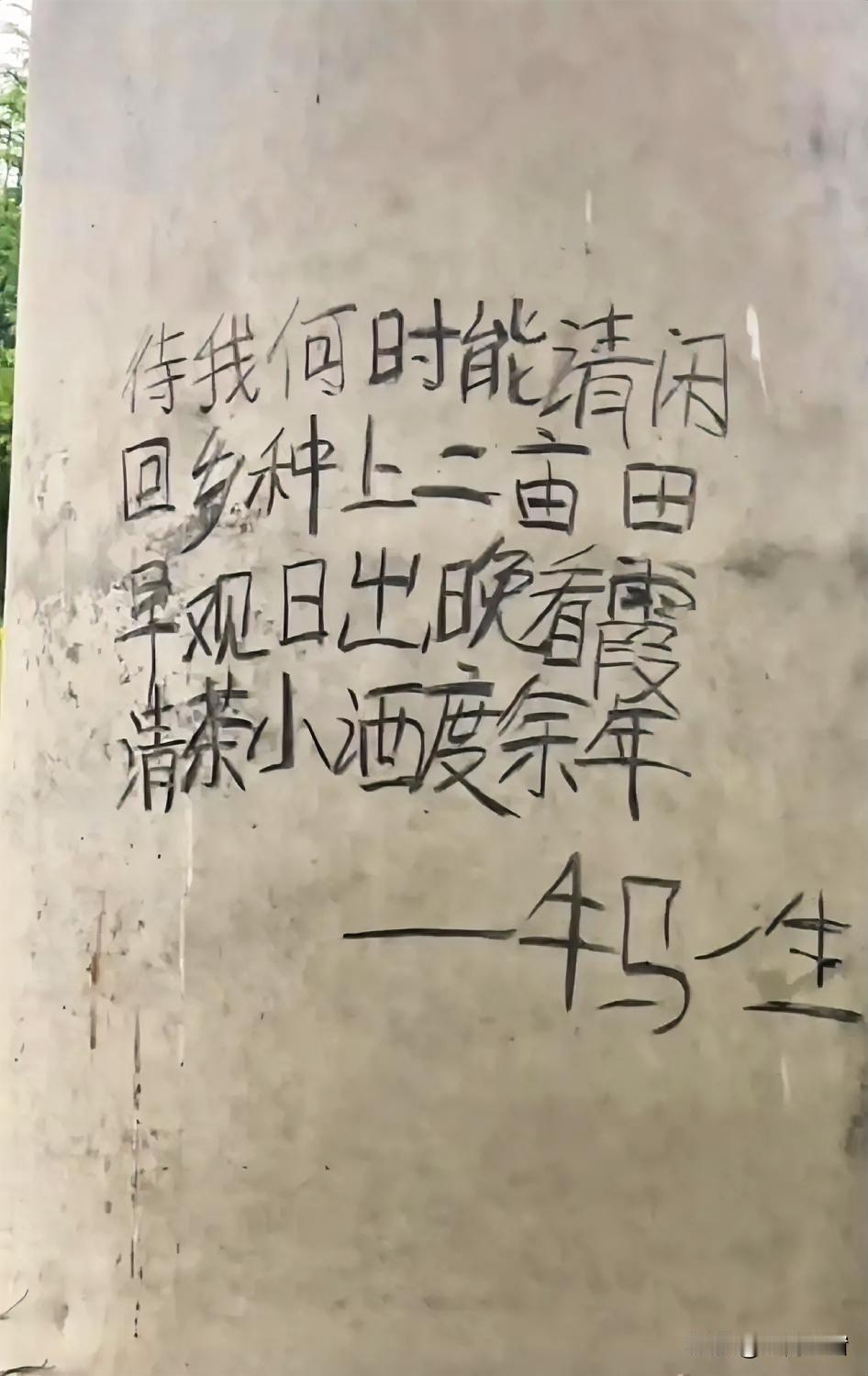 这何尝不是大家的心愿呢？
只是在城市里颠沛流离，
走着走着，到了最后，
都把自己