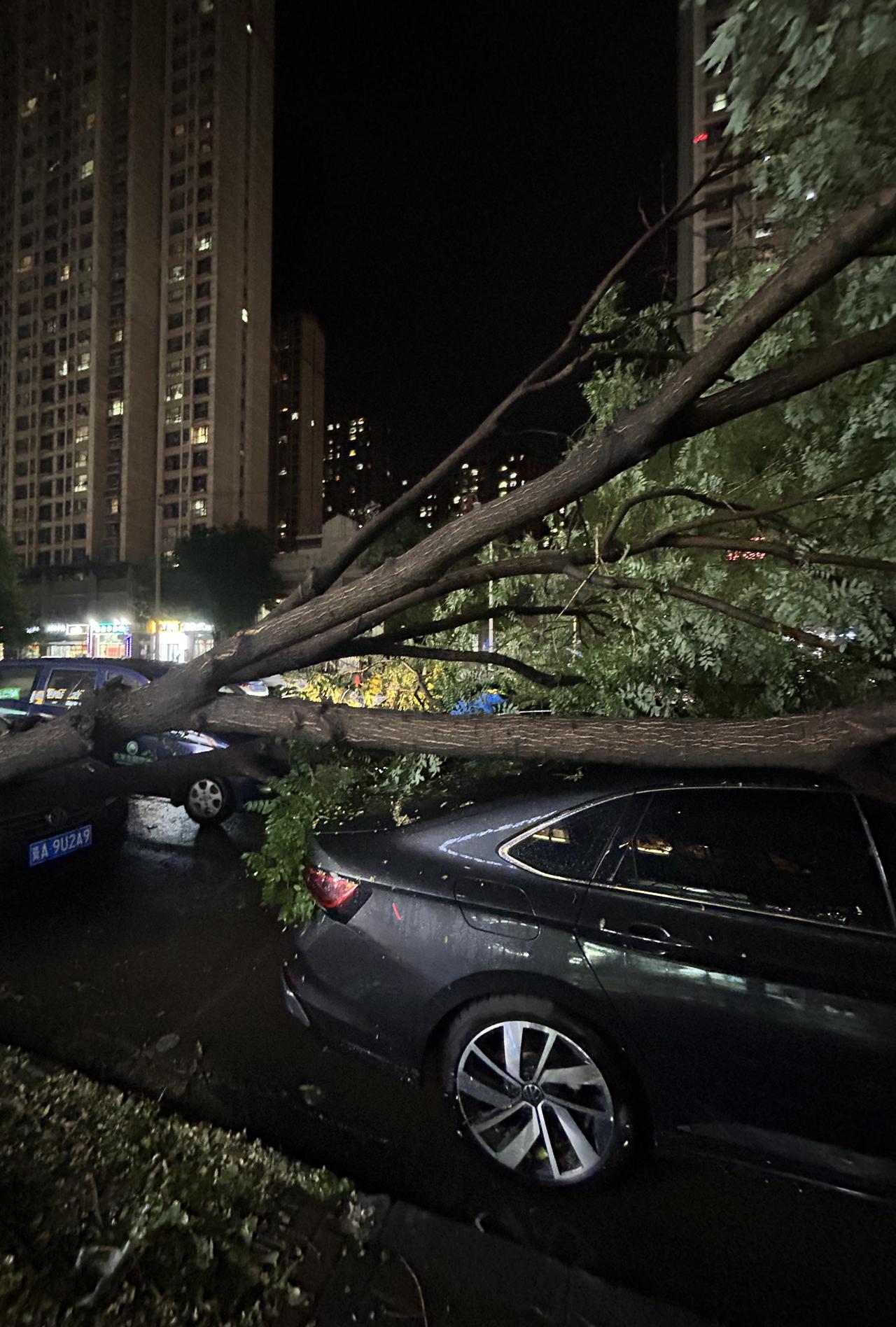 7月20晚，石家庄大暴雨的首个受害者出现。一个小时的风雨太猛烈了，雨后在南二环外