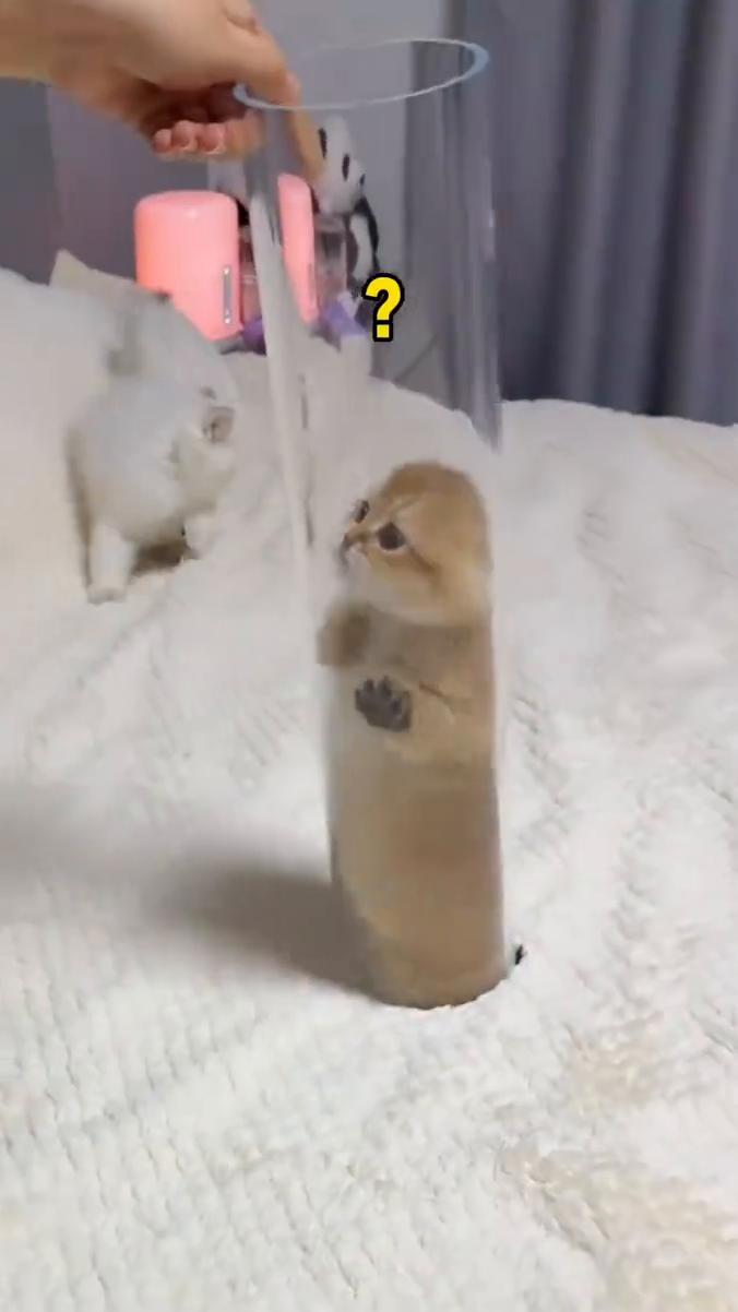 脚底打滑，快放我出去！不想理人。
