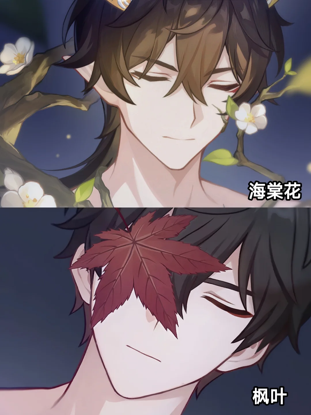 丹恒的每个形态都有不同的花塑呀