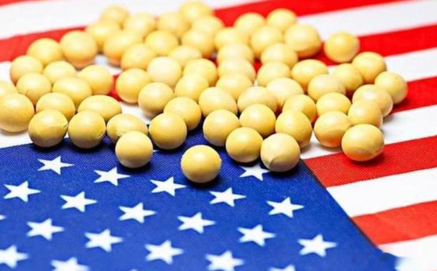 美国大豆重返中国，进口量创新高，价格上涨，中国让步了？
由于中美关系的恶化，中美
