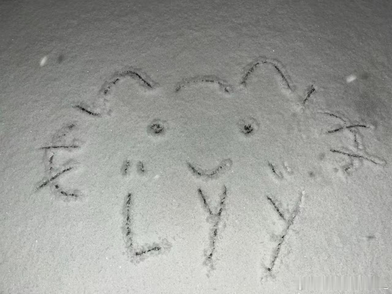 喜欢❄️喜欢你🫶🏻