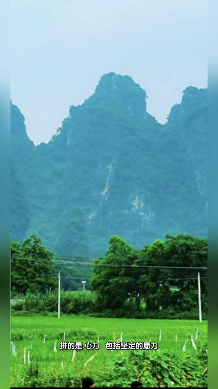 心灵悟语。
守护心力。成年人的世界拼的是心力，包括坚定的愿力、执着的毅力和触底反