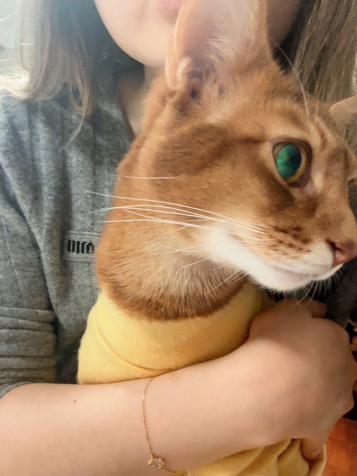 想知道大家都攒了多少克黄金 说出来让言言羡慕羡慕8️⃣ 