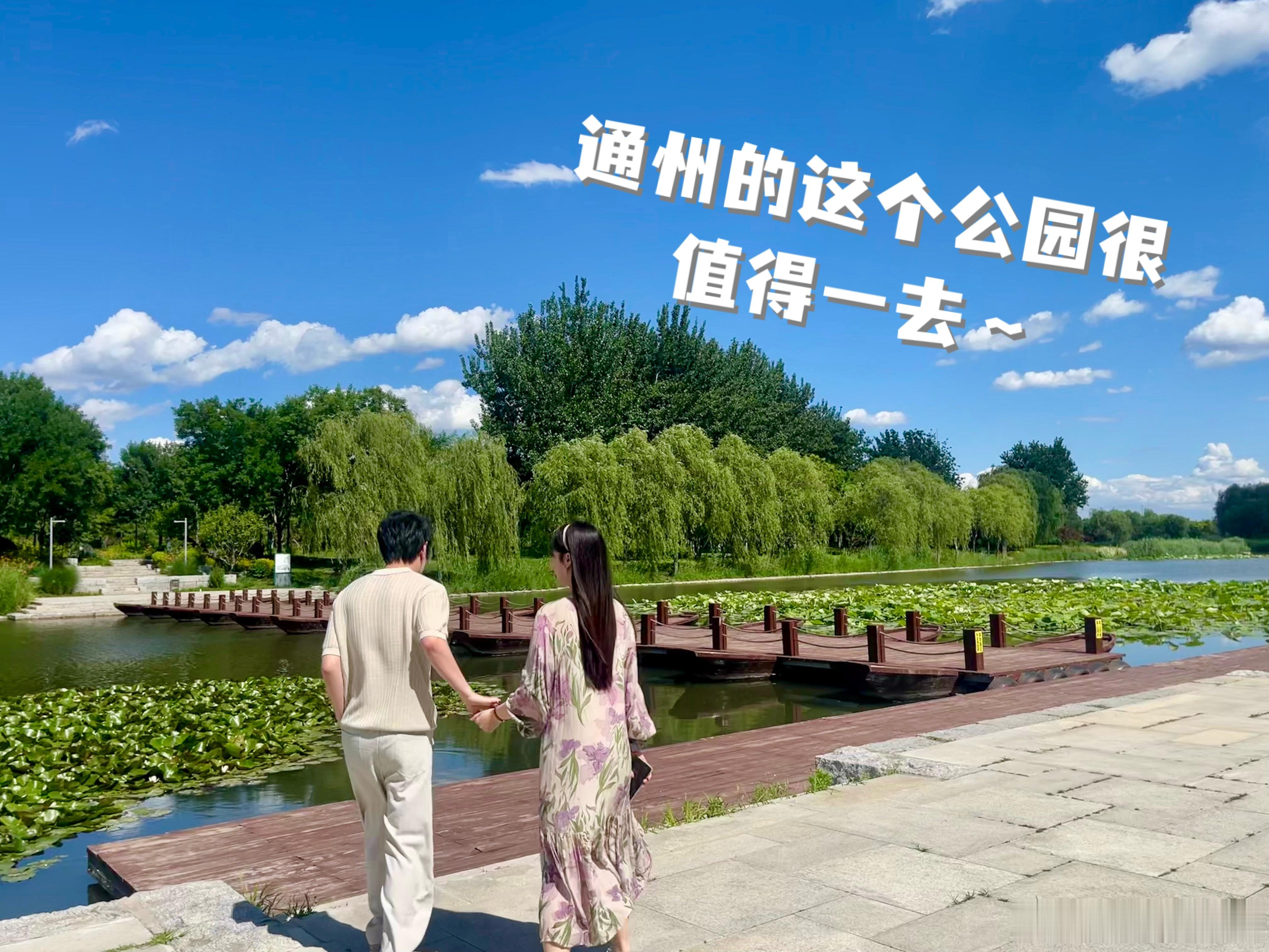 最近很充实❤️ 北京·城市绿心森林公园