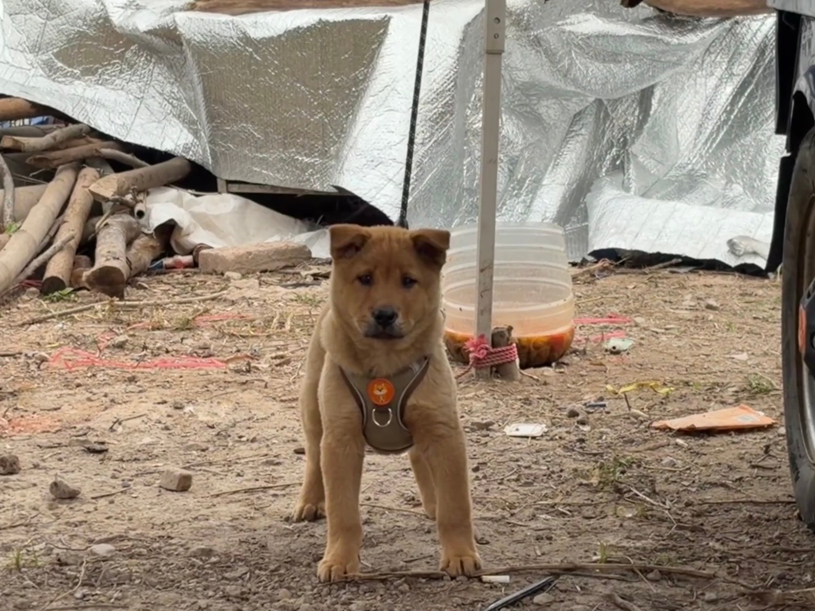 我发现经常有人在我这里，或者在罗博、刘博那里嚷嚷什么末端充电速度。我本以为这是什