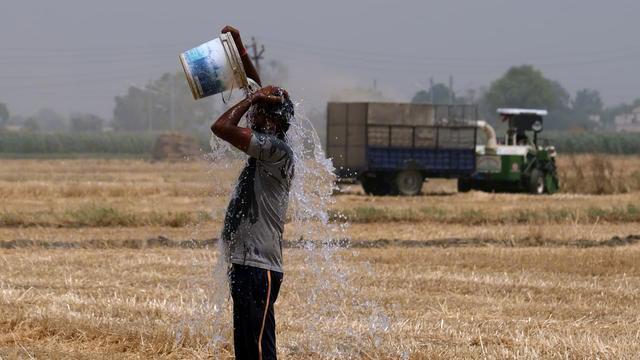 46℃烤焦印度：
土壤80℃、水稻绝收，病根在20年土地纠纷
印度的高温灾难，本