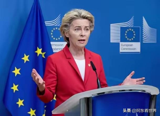 欧盟这波操作，真是又蠢又短视！历史又要重演了！

欧盟正式官宣：禁止中国参与总预