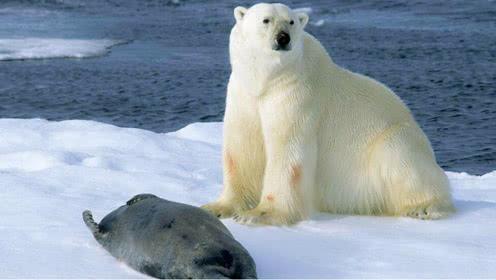 股市是一个按规矩收钱、缴费的地方，能收钱的是招财猫，要缴费的是送财童子，各有各的