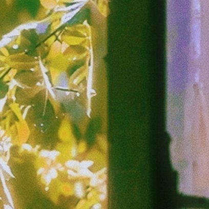 阳光信用 🌻每日一善 希望，宛若长夜中的一颗启明星，在迷茫的路口为我们标定方向
