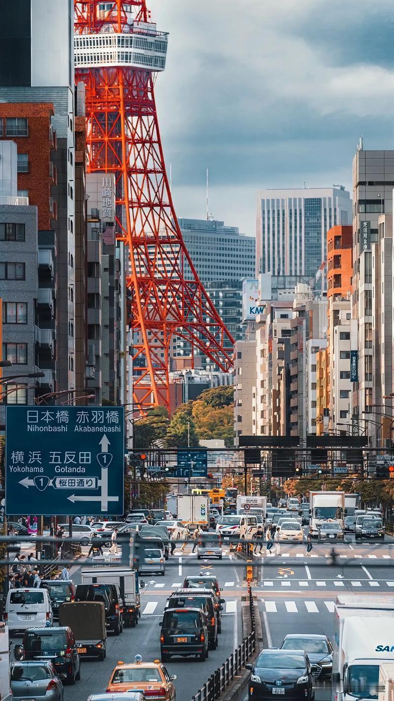 今日东京超市蔬菜水果粮油猪牛羊肉换算成人民币每斤价格，柴油汽油每升换算成人民币价