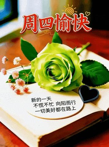 你的五一假期有什么打算年纪大了，五一假期哪里也不去，就在家里看看电视，与儿女们一
